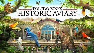 Zoo Tours: The Historic Aviary | Toledo Zoo