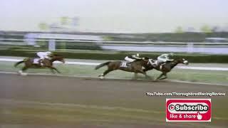 1992 FLORIDA DERBY - MC HAMMER DONE IN BY TECHNOLOGY