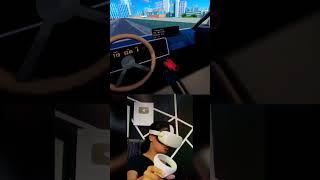 You Experienced driving in Real 