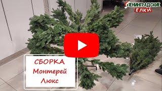 Ель "Монтерей" Люкс Видео сборка елки 210 см