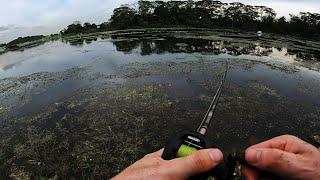 BIG FISH LIVE HERE! Fishing in a shallow reservoir in Singapore.