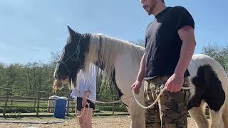 Equine Facilitated Learning Demo Video 1