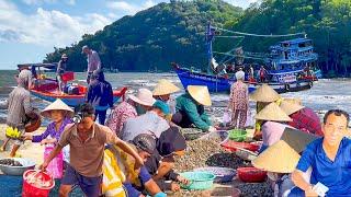 Kiên Lương Kiên Giang Ngày Sò Ốc Về Bờ║Độc Đáo Chợ Hình Tròn Bên Sông Nước