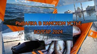 Рыбалка в Камском устье 2024