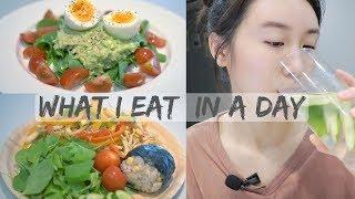 【一天吃什么】我的健康减脂餐 What I Eat In A Day