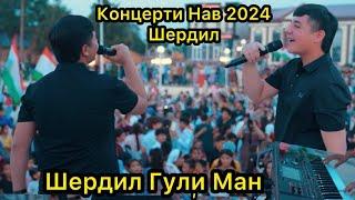 Шердил Гули Ман 2024