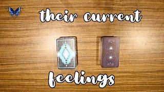  WHAT ARE THEIR CURRENT FEELINGS FOR YOU?   Timeless Tarot Reading 