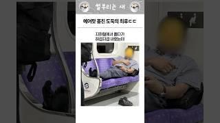 에어팟 훔친 도둑의 최후 ㄷㄷ