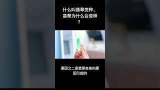 什么叫翡翠变种，翡翠为什么会变种？#翡翠 #翡翠知识 #翡翠玉 #珠宝