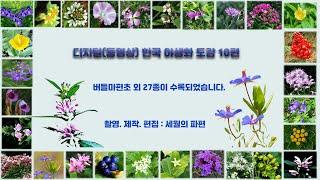 디지털 야생화 도감 10편(10 Digital Wildflower Atlas)