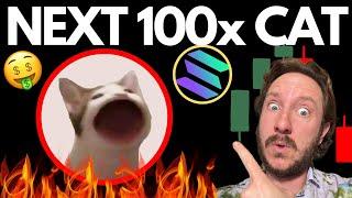  TOP 3 CAT 100x MEMES (under 1M MC) NEXT #popcat #wen ?! #SOLANA