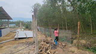 B40 steel mesh, piglet care