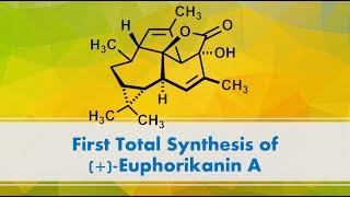 First Total Synthesis of (+)-Euphorikanin A