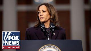 'EPIC DISASTER': Kamala Harris donors furious after 2024 loss