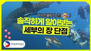 솔직하게 알아보는 세부의 장단점?! 세부여행전 필수시청 영상