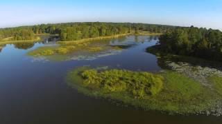 Conservation in the Flint River Basin