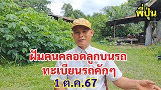 ฝันคนคลอดลูกบนรถ ทะเบียนรถคักๆ ฝันพี่ปุ่น 1ต.ค.67