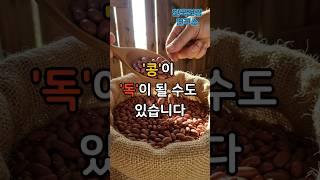콩 먹고 신장 망가질 수 있다고요? #건강정보 #건강 #콩 #옥살산 #신장 #다이어트 #음식 #식단