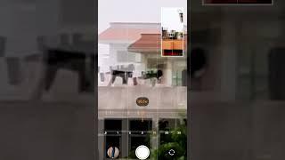 Samsung Galaxy S21 FE 5G | Incredible 30x Zoom Test! #zoomtest #s21fe5g #samsung