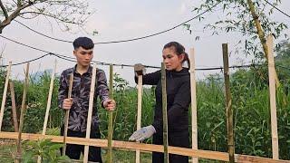 The girl made a fence around her house to prevent bad guys from breaking into her house