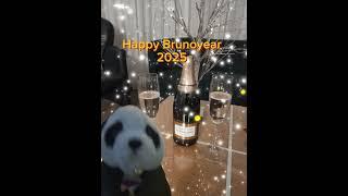 Happy New Brunoyear 2025#happynewyear #fireworks #fyp #videooftheday #2024 #2025 #brunoontour