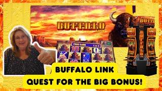 Buffalo Link $5 and $10 Bets - Quest for the Big Bonus!