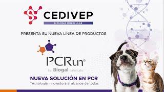 Lanzamiento PCRun - CEDIVEP S.R.L.