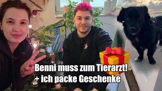 BENNI MUSS ZUM TIERARZT! Was ich verschenke an Weihnachten -  Vlogmas 9-10