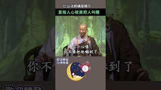 直指人心就是把人叫醒 ~ 仁山法師講座開示 #佛法 #修行 #禪 #般若