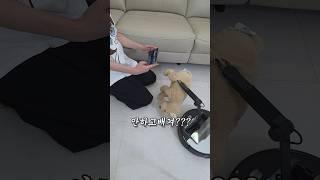 로봇팔로 인형 뽑기