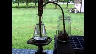 syphon coffee maker