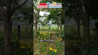 [25-203] 주차 100% 엘레베이터가 있어요~ 아시아드 경기장역 635m 검암동빌라
