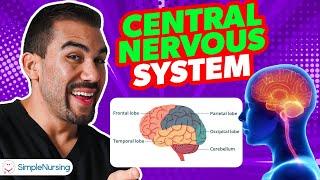 Components of the Central Nervous System: An Overview for Nursing Students