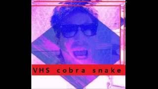 ＶＨＳ  ｃｏｂｒａ  ｓｎａｋｅ - ｂｏｏｔｄｉｓｋ 1993