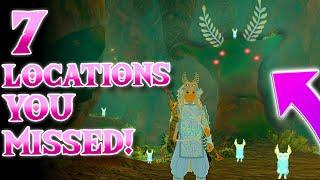 7 More CRAZY Locations You MISSED In Zelda Tears of the Kingdom! [Iwata Monument?!]