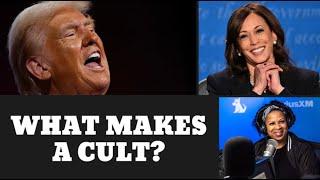 Debunking the Myth that Both Harris & Trump Voters Are in a Cult