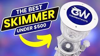 The Best Protein Skimmer For Your Tank Under $500!