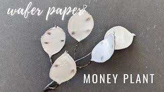 How to make Lunaria (Silver Dollar Plant) for cake decorating | Florea Cakes