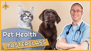 Pet Health Optimization (essential dog + cat care tips) - Live Masterclass