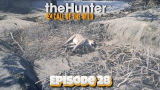 The Hunter: Call of the Wild - Episode 28 | Wilderness Adventures with TAC ReinDeer