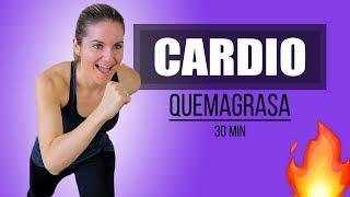 Rutina Cardio Todo el Cuerpo 30 minutos Quema Grasa Cardio Full Body para principiantes