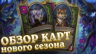 Обзор новых героев, существ и заклинаний. Десятый сезон