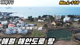 제주도 토지 매매 L-116 시원한 바다 전망과 한라산 전망을 보여주는 최고의 토지 입니다 제주도 부동산 매물,Jeju House for sale,Korea,제주도부동산TV