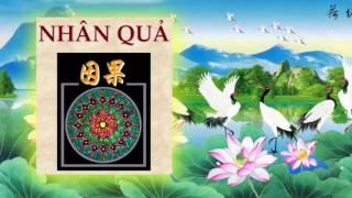 Giải Nghi Về Luật Nhân Quả (Phần 1) - Tác Giả Trưởng Lão Thích Thông Lạc