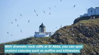 National Trust for Scotland's Nature Reserves