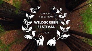 Wildscreen Festival 2024 | Official Selection Reveal