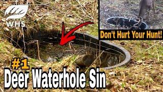 #1 Deer Hunting Waterhole Setup Sin