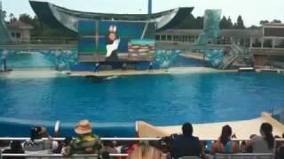 Shamu Part 3/4