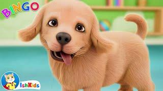 Bingo the dog song - sing along with fun animal rhymes