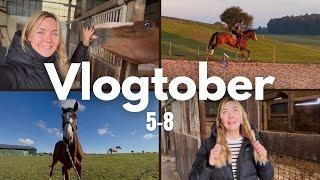 Micky lahm? Ein paar Stalltage mit uns | Vlogtober 5-8